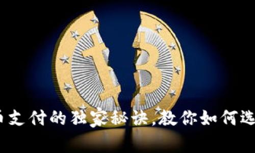 专家解读：虚拟币支付的独家秘诀，教你如何选择最适合的钱包