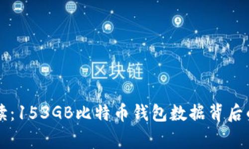 专家独家解读：153GB比特币钱包数据背后的秘密与发展