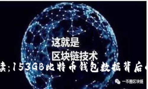 专家独家解读：153GB比特币钱包数据背后的秘密与发展
