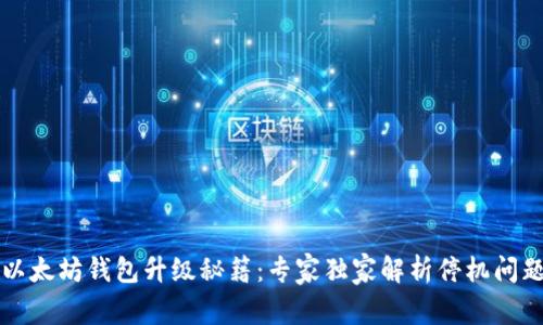 以太坊钱包升级秘籍：专家独家解析停机问题
