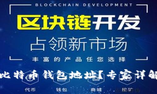 如何查看新比特币钱包地址？专家详解与独家秘诀