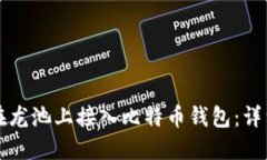 如何在龙池上接入比特币钱包：详细指南