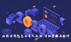 比特币钱包怎么导入私钥：详细步骤与技巧