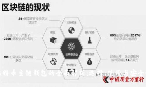 比特币主链钱包的全面解析：选择、使用与安全性