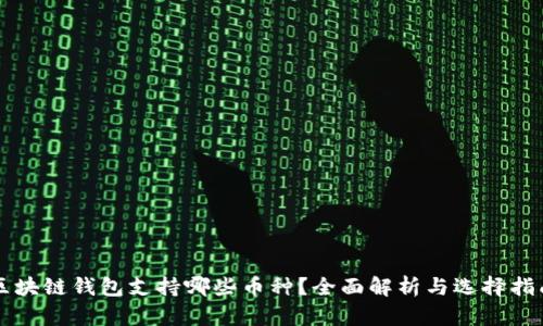 区块链钱包支持哪些币种？全面解析与选择指南