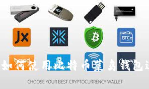 初学者指南：如何使用比特币菜鸟钱包进行安全交易