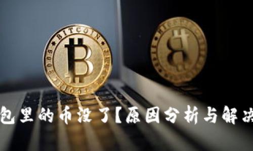 比特币钱包里的币没了？原因分析与解决方案详解