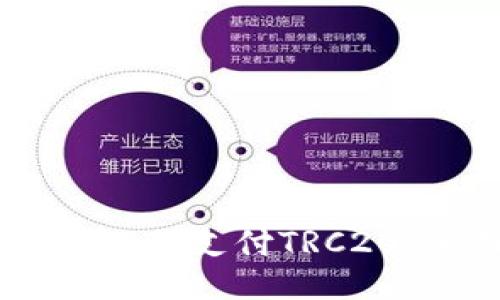 如何使用USDT支付TRC20：全面指南