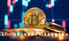 TP钱包USDT转错了还能找回吗？全面解析与解决方