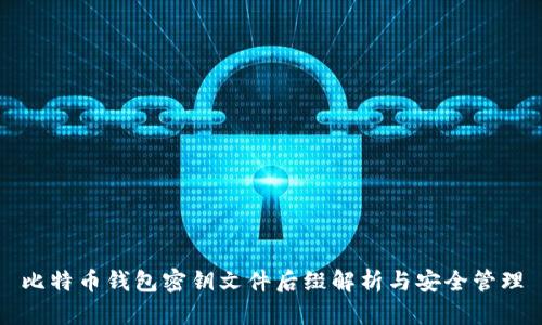 比特币钱包密钥文件后缀解析与安全管理